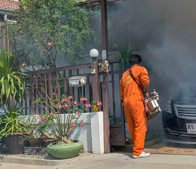 Your Proven Mosquito Fogging Company in Tualatin, OR