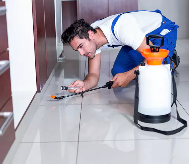 Reliable Professional Mouse Removal: Your Best Mouse Control Company in Tualatin, OR