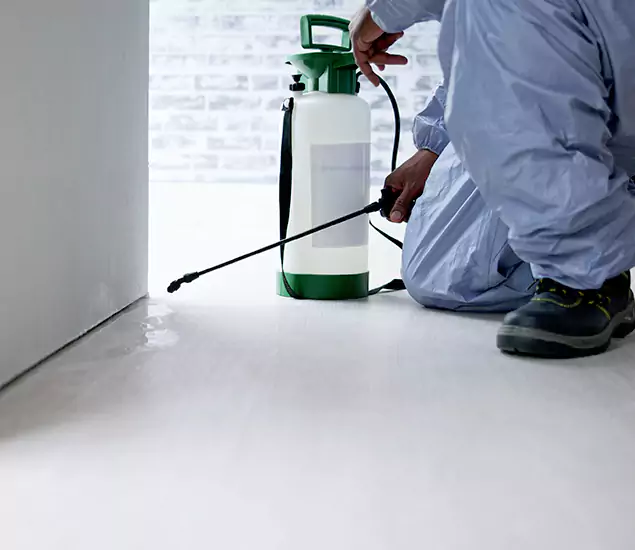 Affordable Pest Control Experts in Tualatin, OR