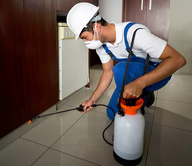 Advanced Termite Pre Treatment Experts in Tualatin, OR