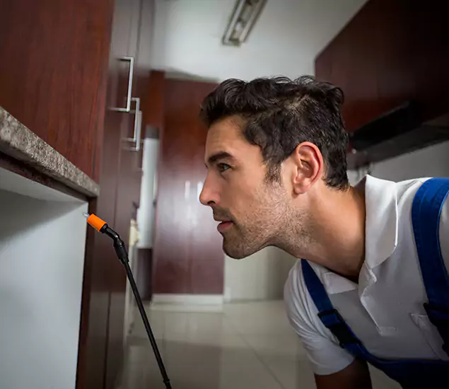 Expert Rodent in Attic Removal: Your Proven Pest Specialists in Tualatin, OR