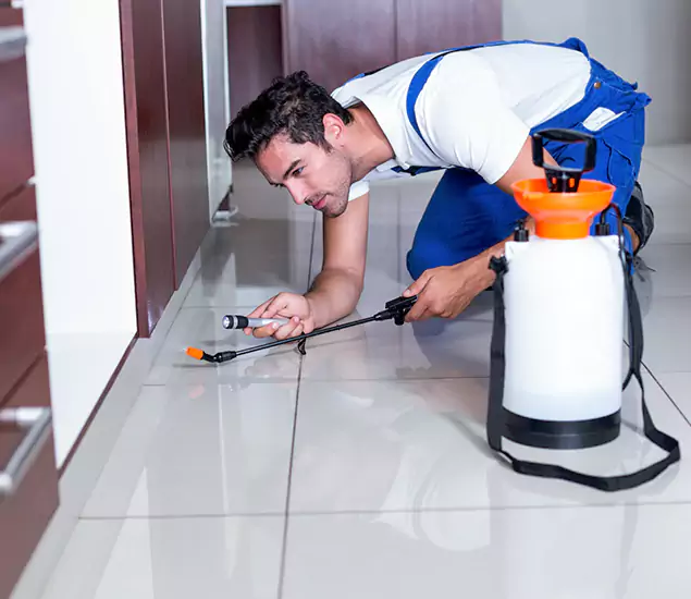 Advanced Slab Termite Treatment Experts You Can Trust&nbsp;in Tualatin, OR