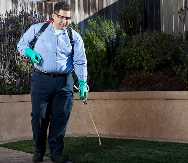 Reliable Termite Barrier Treatment Experts in Tualatin, OR