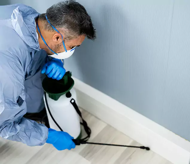 Reliable Termite Cost Experts in Tualatin, OR