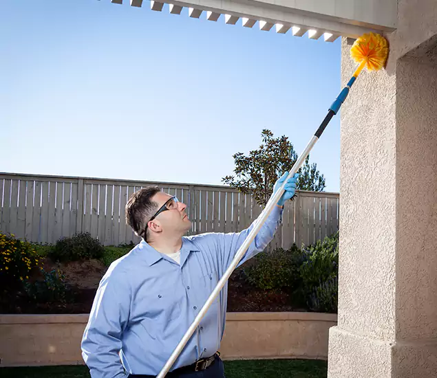 Your Trusted Wasp Removal Company in Tualatin, OR
