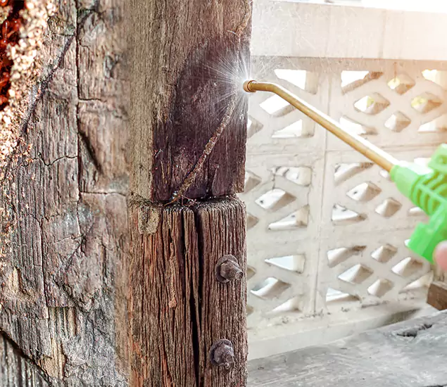 About Wood Termite Treatment Services in Tualatin, OR