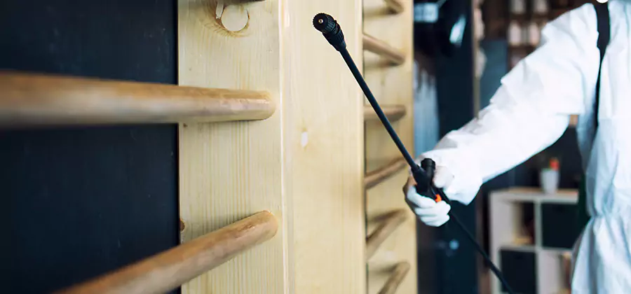 Attic Wood Termite Treatment in Tualatin