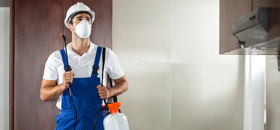 Per Room Bed Bug Cost in Tualatin