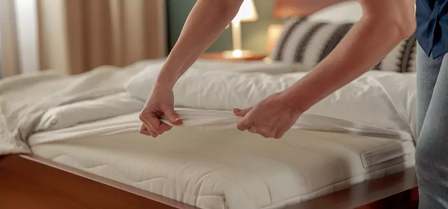 Bed Bug Extermination Services in Tualatin