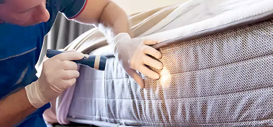 Residential Bed Bug Treatment Cost in Tualatin