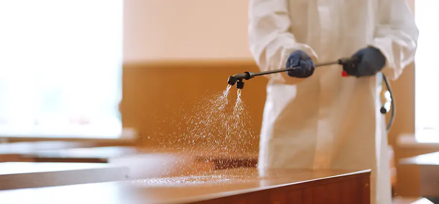 Residential Bed Bug Treatment Option in Tualatin