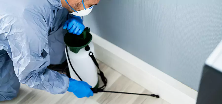 Fumigate Apartment Roaches in Tualatin