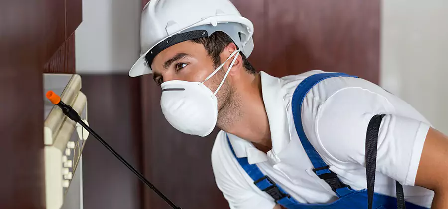 Injection Foam Treatment for Drywood Termites in Tualatin