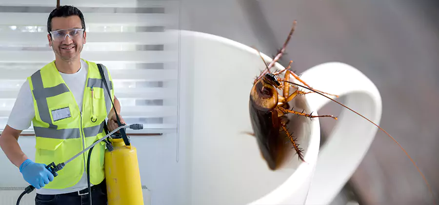 German Roach Infestation Treatment Tualatin