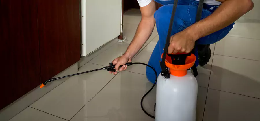 Indoor Mosquito Treatment in Tualatin