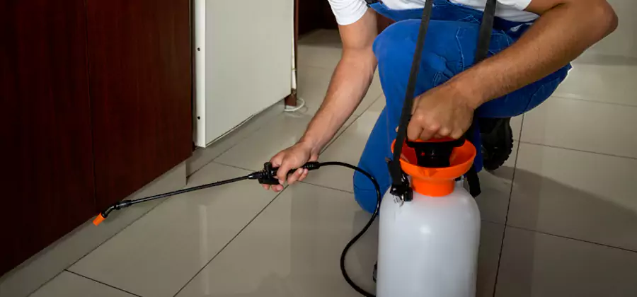 Indoor Insect Killer Solutions in Tualatin
