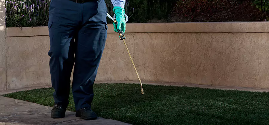 Soil Treatment for New Construction Termites in Tualatin