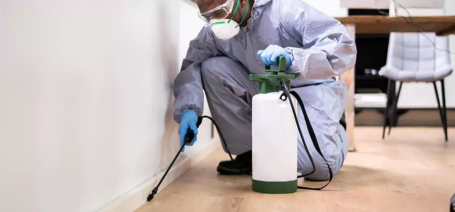 No Tent Termite Extermination With Electric Tool in Tualatin