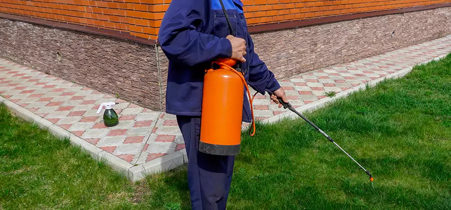 Non Toxic Termite Treatment in Tualatin