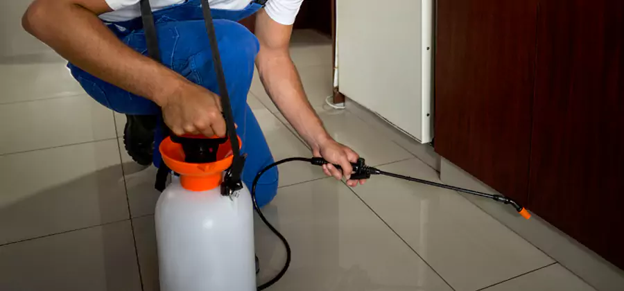 One Time Termite Control in Tualatin