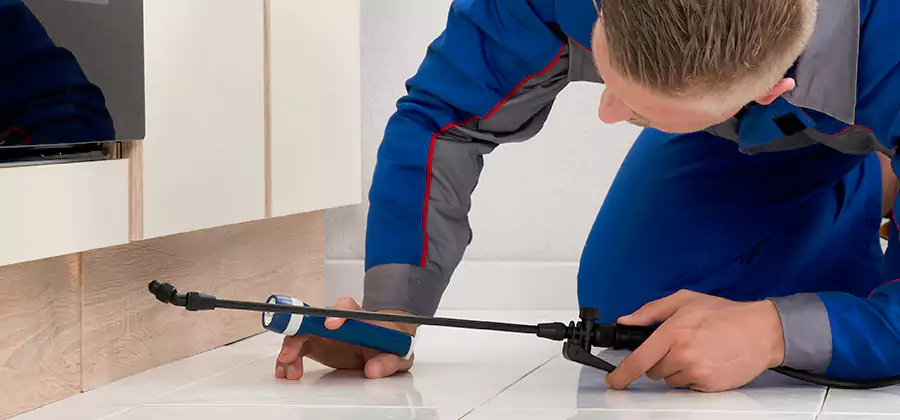 Moisture Treatment For Termite Control Service in Tualatin