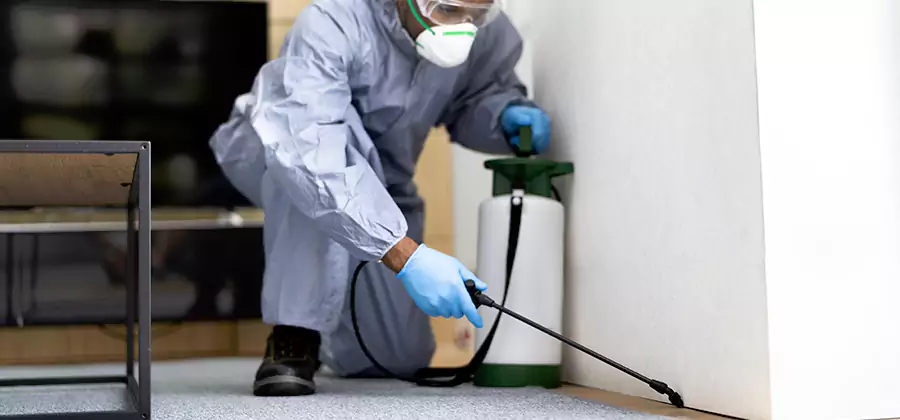 Wood Protection Termite Treatment in Tualatin