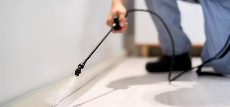Direct Termite Injection Treatment in Tualatin
