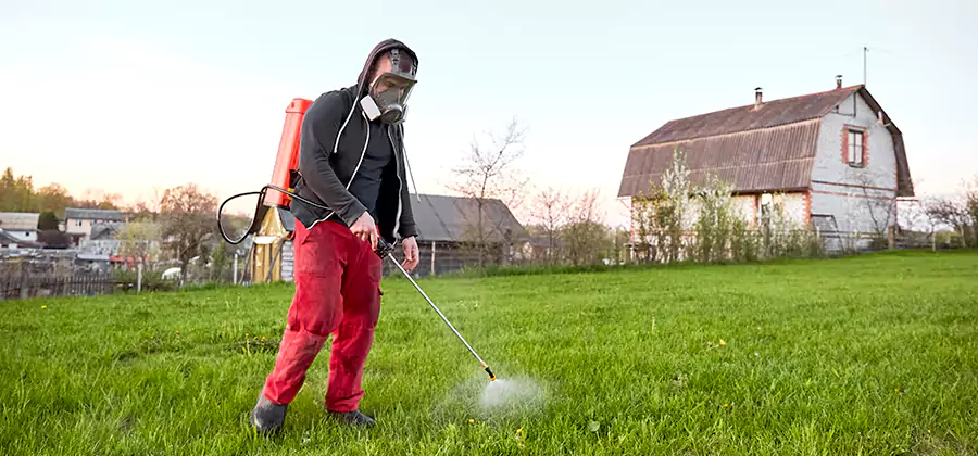 Flea and Tick Pest Control in Tualatin