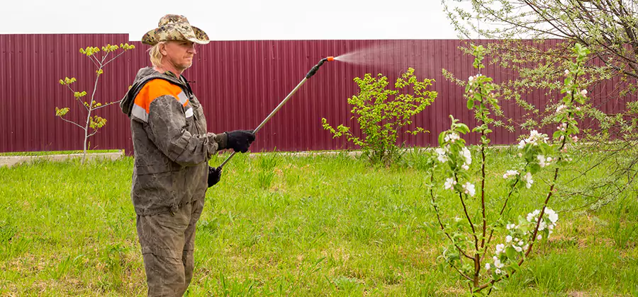 Flea and Tick Spray for Yard in Tualatin