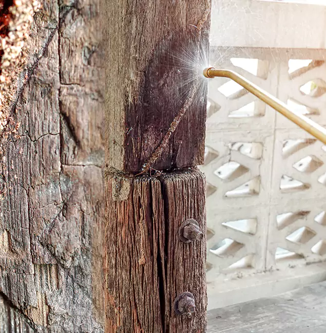 Why Choose Tualatin Pest Control Pro for Attic Termite Treatment in Tualatin, OR?