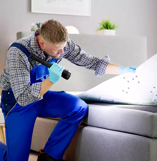 Why Choose Tualatin Pest Control Pro for Bed Bug Exterminator Cost in Tualatin, OR?