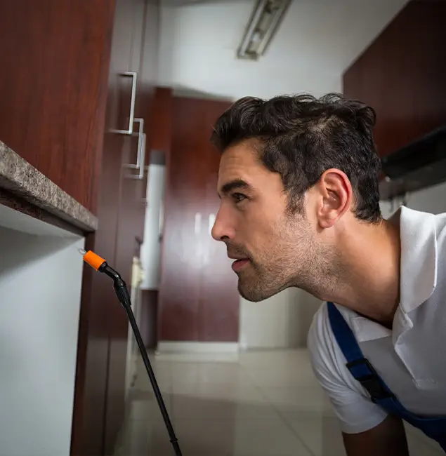 Why Choose Tualatin Pest Control Pro for Bed Bug Removal Cost in Tualatin, OR?