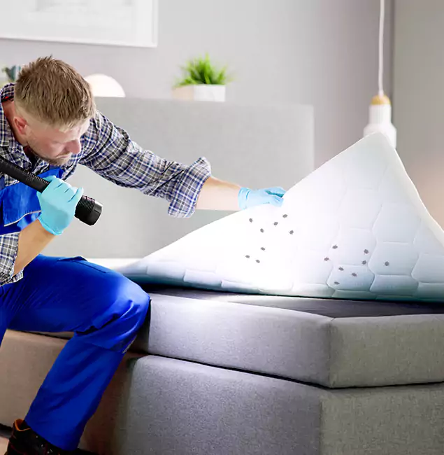 Why Choose Tualatin Pest Control Pro in Tualatin, OR?