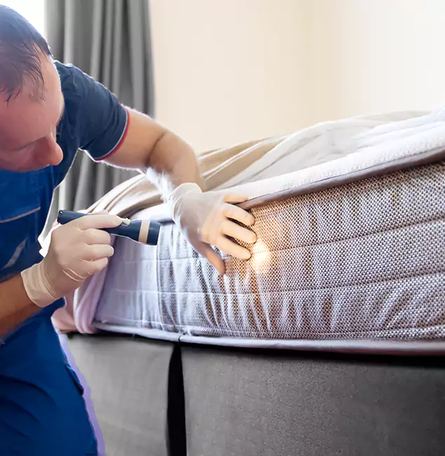 Why Choose Tualatin Pest Control Pro for Bed Bug Services in Tualatin, OR?