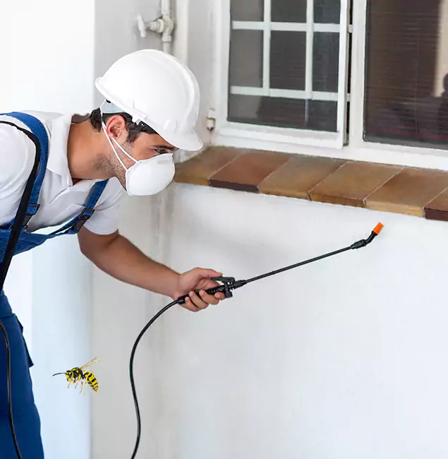 Why Tualatin Property Owners Choose Tualatin Pest Control Pro for Bee Nest Removal?