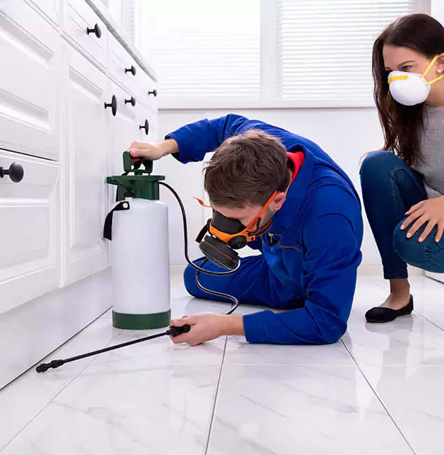 Why Choose Tualatin Pest Control Pro in Tualatin, OR?