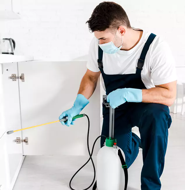 Why Choose Tualatin Pest Control Pro for Emergency Pest Control in Tualatin?