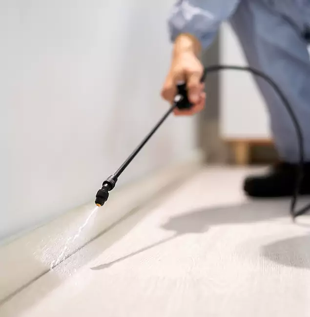 Why Choose Tualatin Pest Control Pro for Termite Treatment in Tualatin, OR?