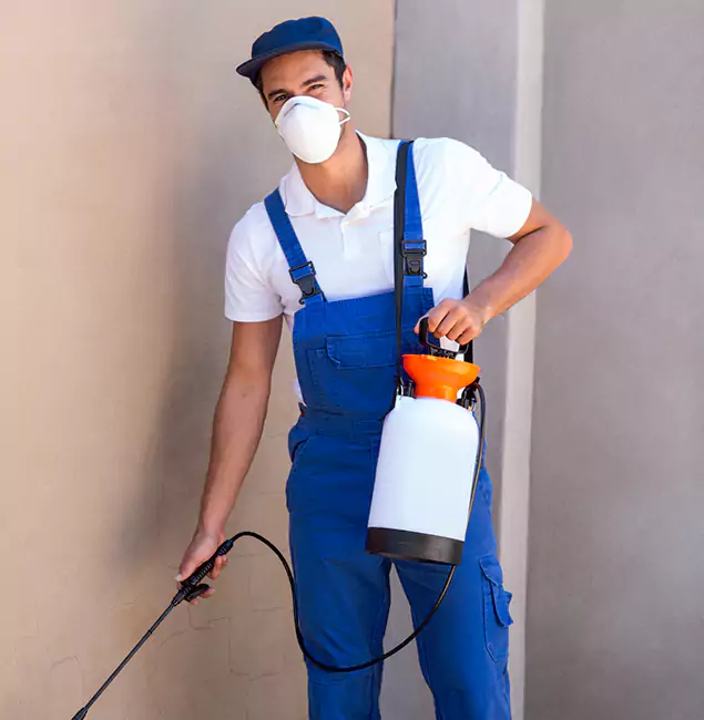 Why Tualatin Homeowners Trust Tualatin Pest Control Pro for Indoor Mosquito Control?
