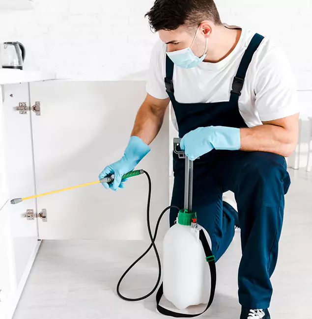 Why Choose Tualatin Pest Control Pro for Indoor Pest Control in Tualatin, OR?
