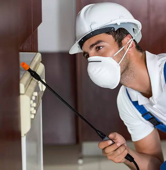 Why Tualatin Homeowners Rely on Tualatin Pest Control Pro for Tick Treatment?