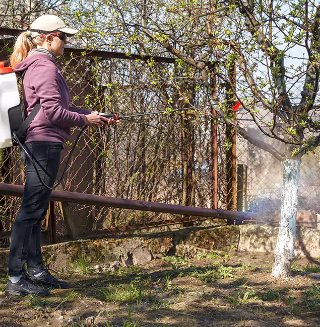Why Tualatin Homeowners Choose Tualatin Pest Control Pro for Mosquito Abatement?