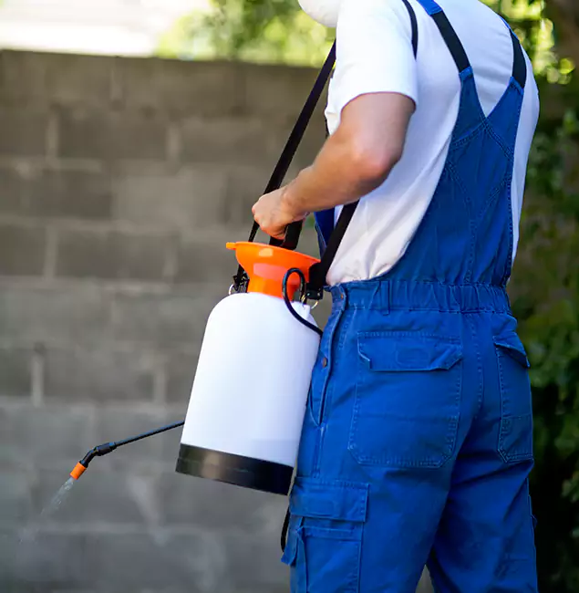 Why Tualatin Homeowners Rely on Tualatin Pest Control Pro for Mosquito Control?