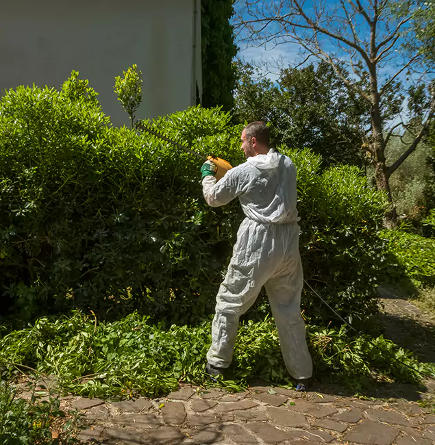 Why Tualatin Pest Control Pro Leads Mosquito Control in Tualatin, OR?
