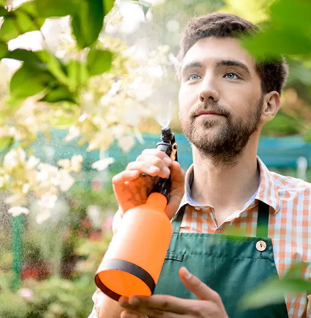 Why Tualatin Pest Control Pro Is the Best Mosquito Control Company in Tualatin, OR?