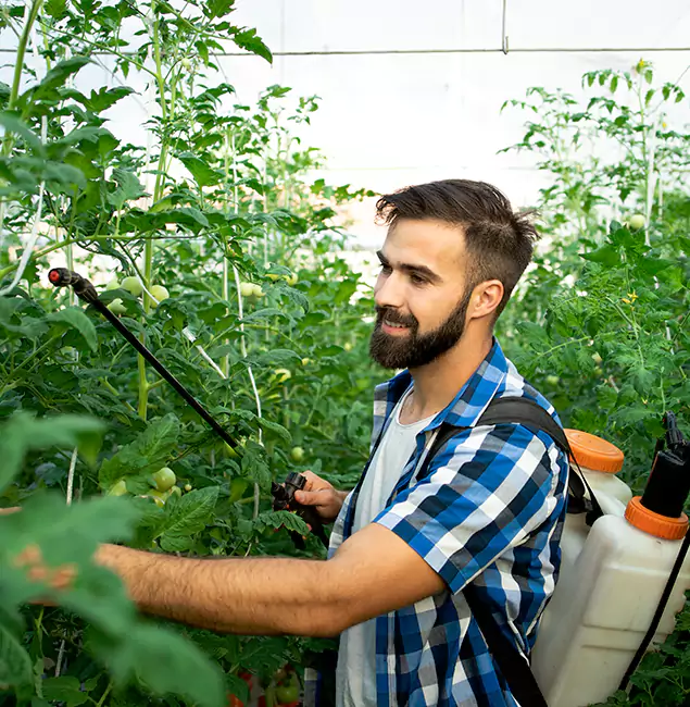 Why Tualatin Homeowners Choose Tualatin Pest Control Pro for Mosquito Spraying?