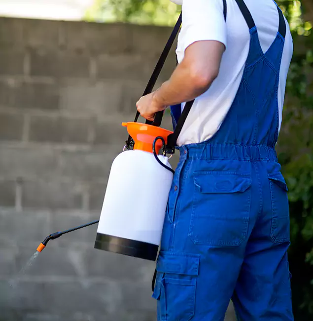 Why Tualatin Pest Control Pro Delivers the Best Mosquito Control in Tualatin, OR?