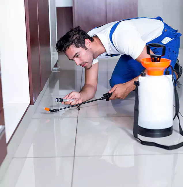 Why Tualatin Pest Control Pro Is the Proven Choice in Tualatin, OR?