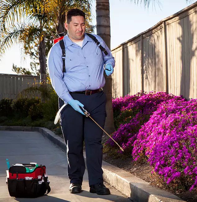 Why Choose Tualatin Pest Control Pro in Tualatin, OR?