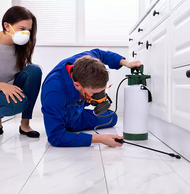 Why Choose Tualatin Pest Control Pro in Tualatin, OR?